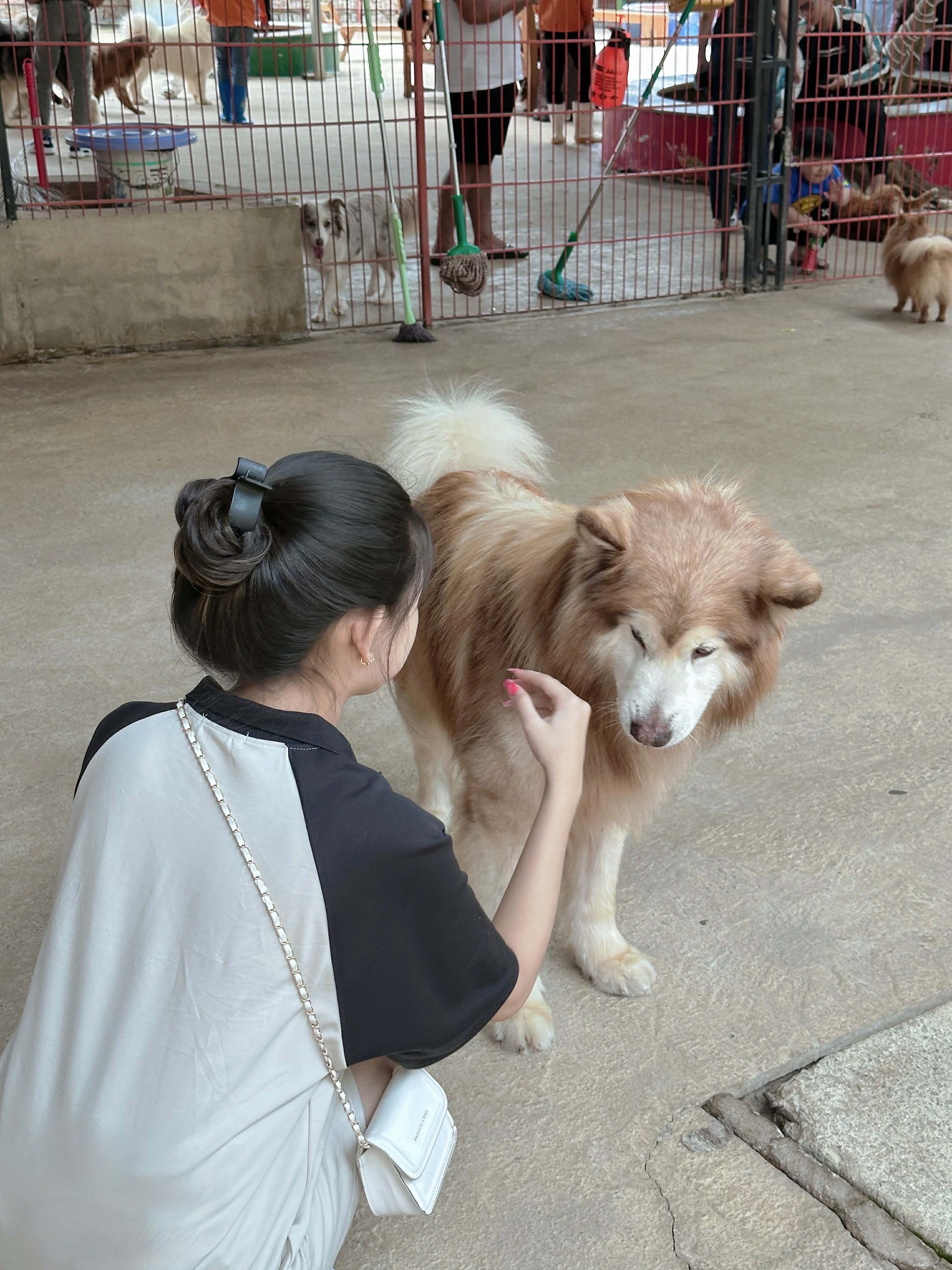 Lâm Tiểu Băng